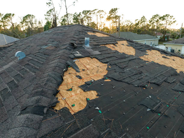 Best Skylight Installation and Repair  in Shadeland, IN
